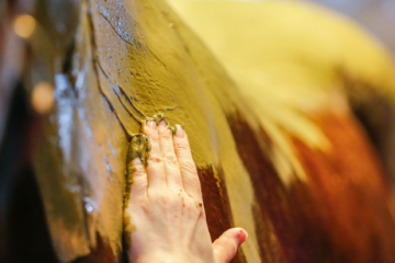 EquiSportMassage- Massage Equin Enveloppement aux algues